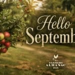 Autumn apple orchard with 'Hello September' text overlay.
