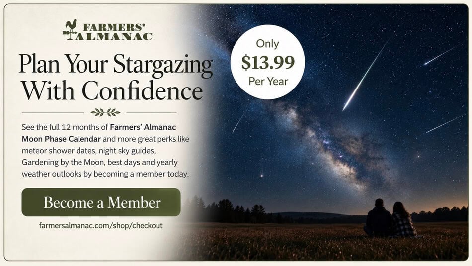 Stargazing under a meteor shower with a couple sitting in a field.