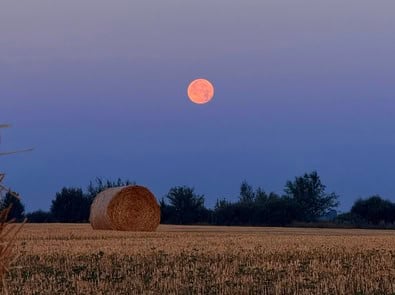 When Is the Next Full Moon? September’s Harvest Moon 2026 featured image