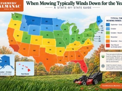 When Should You Stop Mowing Your Lawn for the Year? A State-by-State Guide featured image
