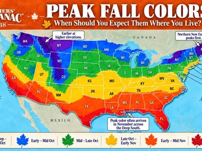 When Will Fall Colors Peak Near Me? See the 2026 Fall Foliage Map featured image