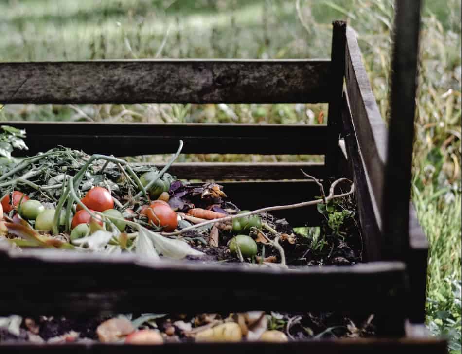 Fallen tomatoes and leaves on a garden bench in autumn.