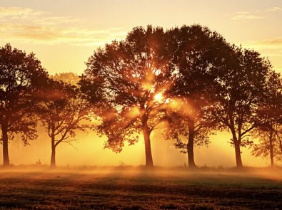 The Autumn Equinox Is Almost Here—But Day and Night Aren’t Actually Equal featured image