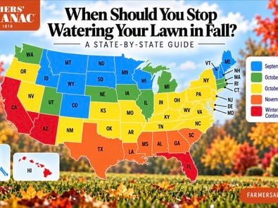 When Should You Stop Watering Your Lawn in Fall? A State-by-State Guide featured image