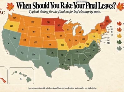When Should You Rake Your Final Leaves of the Year? A State-by-State Guide featured image