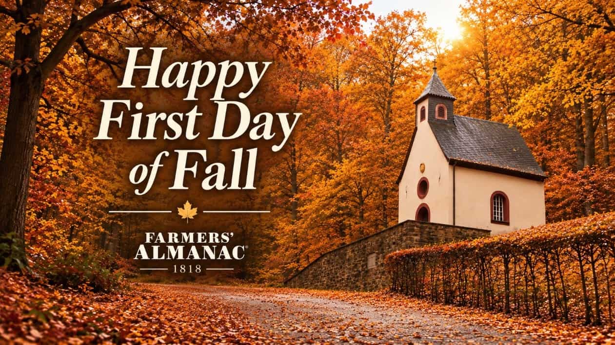Scenic autumn landscape with a small church and colorful fall trees.