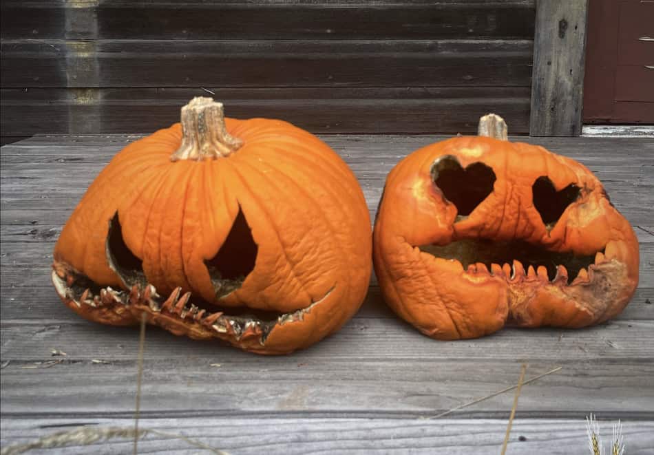 Two carved pumpkins with spooky faces on a wooden deck.