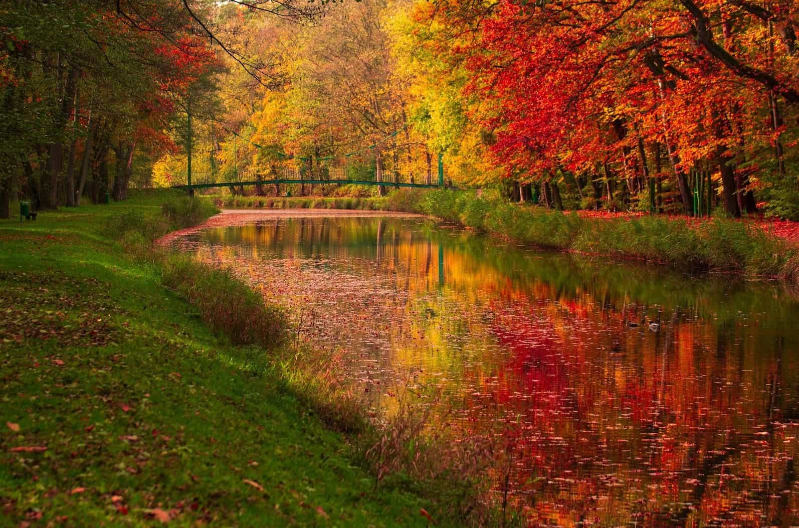 Scenic autumn scene with colorful fall foliage reflected in a river.