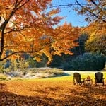 Scenic fall landscape with colorful trees and outdoor seating.