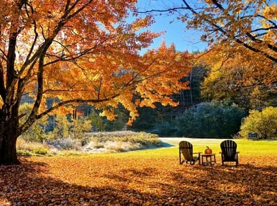 7 Leaf-Raking Hacks That Make Fall Cleanup Easier featured image