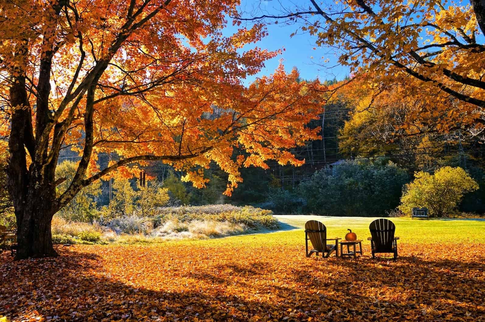 Scenic fall landscape with colorful trees and outdoor seating.