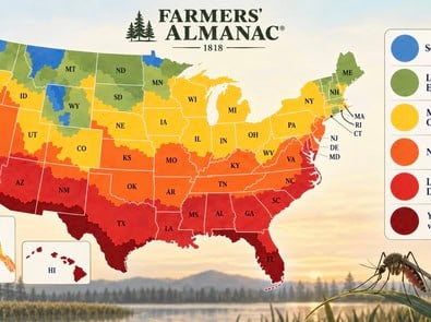 When Mosquitoes Die Off And Disappear in Fall Where You Live featured image