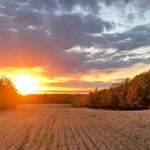 Beautiful sunset over a farm field with trees and clouds in the sky.
