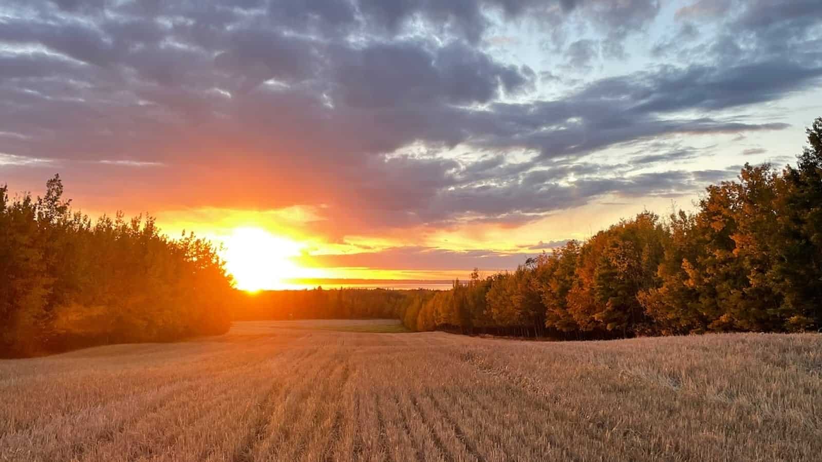 Daylight Saving Time 2026: Will We Still Fall Back This November?