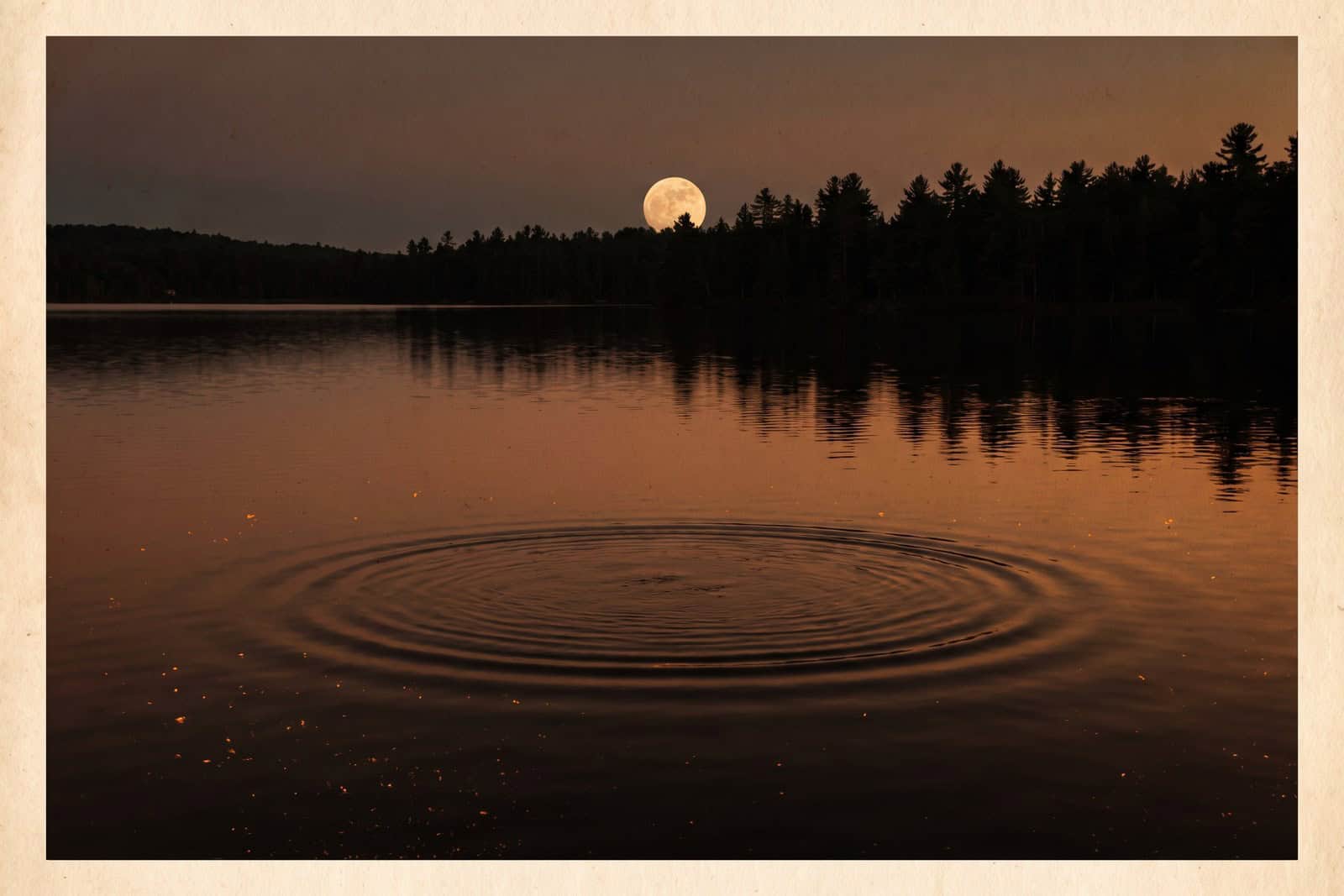 Rings spreading on a calm lake at dusk where a fish has risen, with the Moon low over the treeline.