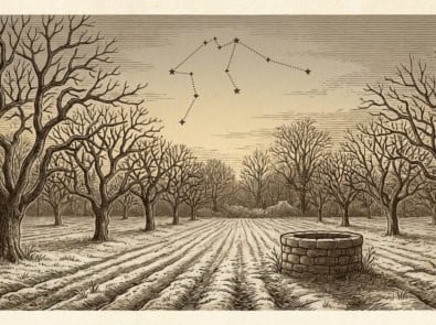 February Zodiac Signs: Aquarius and Pisces Dates and Traits featured image