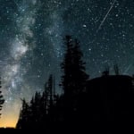 Milky Way galaxy and bright meteors streak across a dark night sky above silhouetted pine trees.