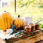 Pumpkins and gardening tools on a wooden table in fall garden.