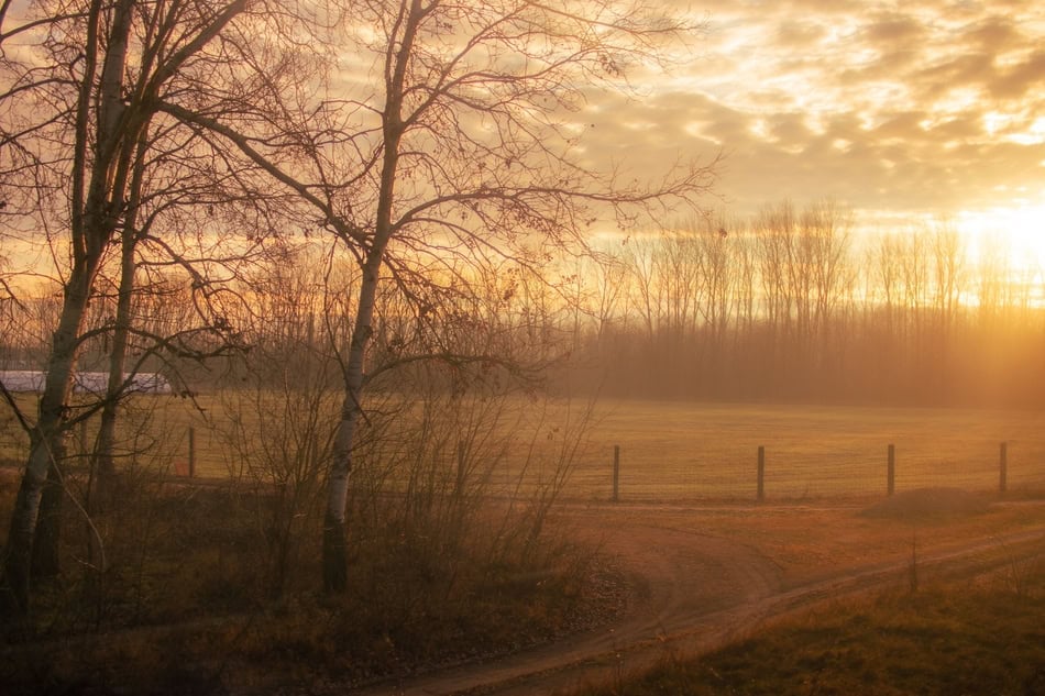Sunrise over a rural landscape with trees and a dirt path in autumn.