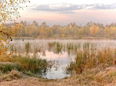Why September Mornings Suddenly Feel So Much Cooler—Even When Afternoons Are Still Hot featured image