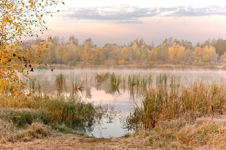 Serene lake scene with morning mist, autumn trees, and still water reflecting the sky.