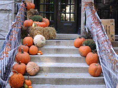 Fake Halloween Spiderwebs Can Trap Birds: What to Use Instead featured image