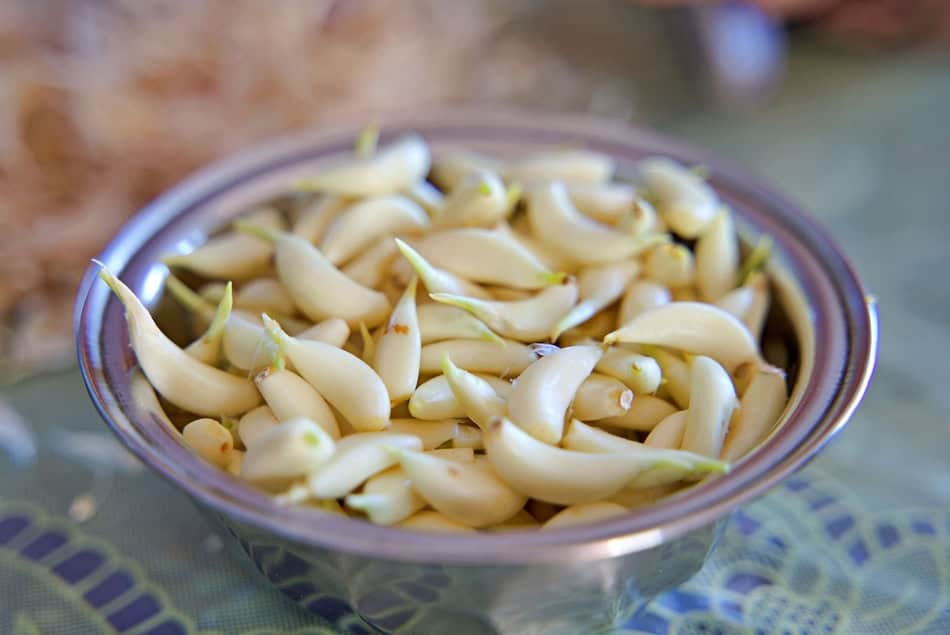 Close-up of fresh sprouted garlic cloves in a glass bowl.