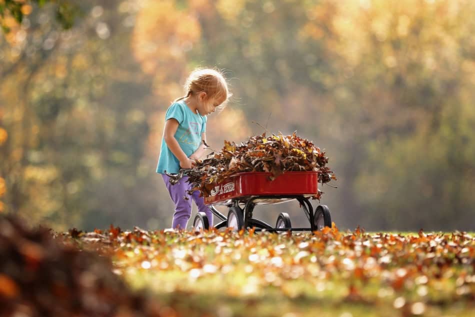 Young girl raking colorful autumn leaves in a park during fall.