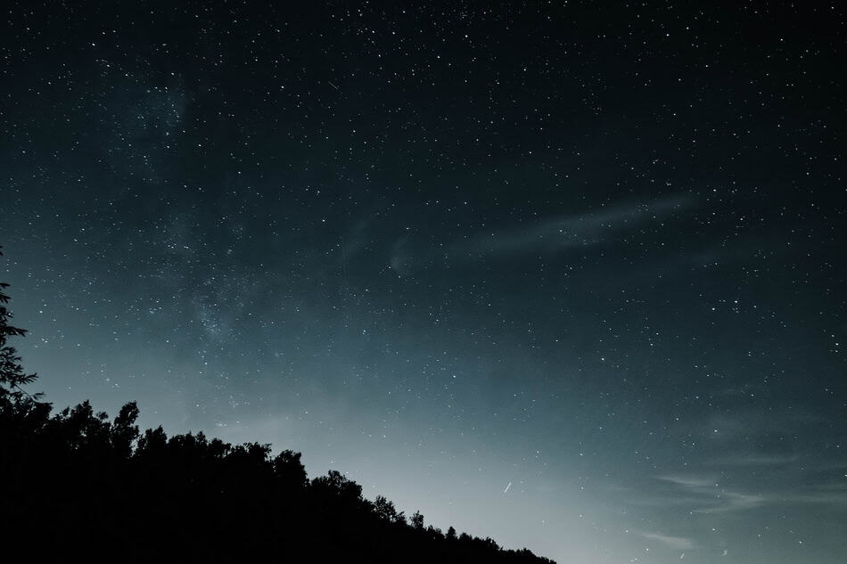 Starry night sky over treetops with visible Milky Way.