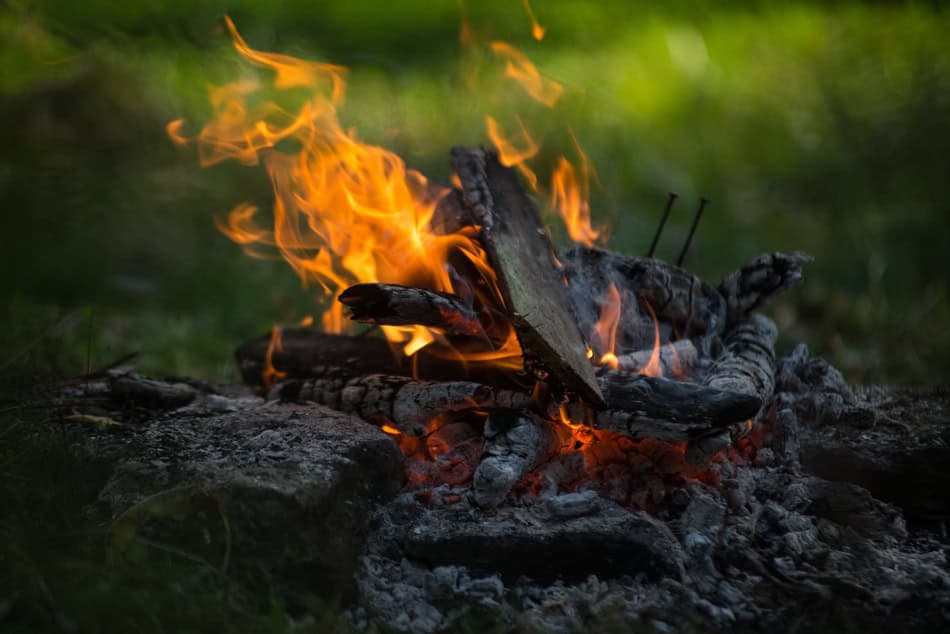 Campfire with burning wood and orange flames in a natural outdoor setting.