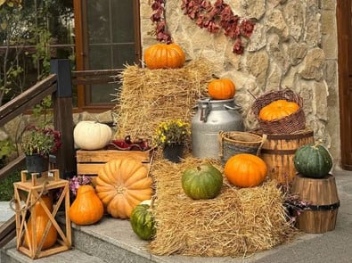 Natural Halloween Decorations: 8 Charming Ideas for Your Front Porch featured image
