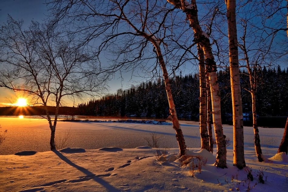 Scenic winter landscape with snow-covered trees and frozen lake at sunset.