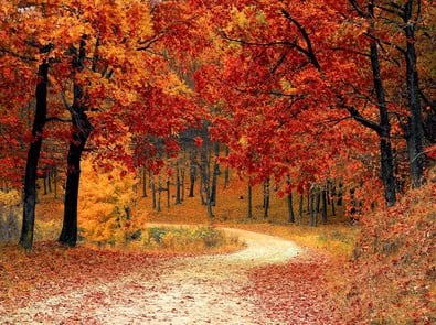 10 Things to Look Forward to This October featured image