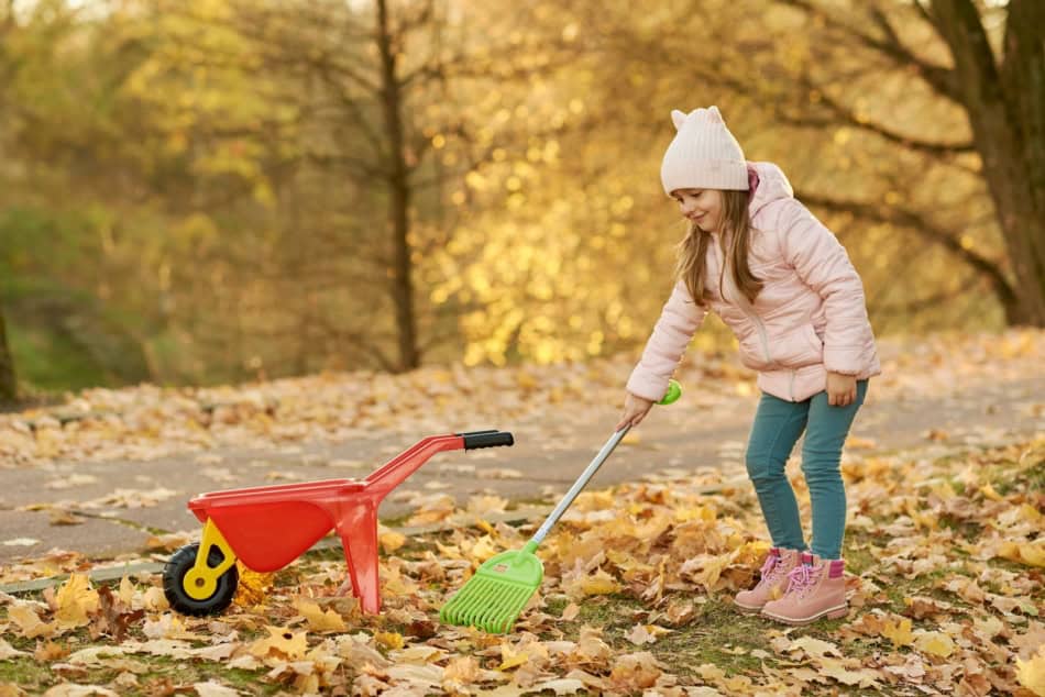 Young girl raking fallen autumn leaves with a small green broom and red wheelbarrow.