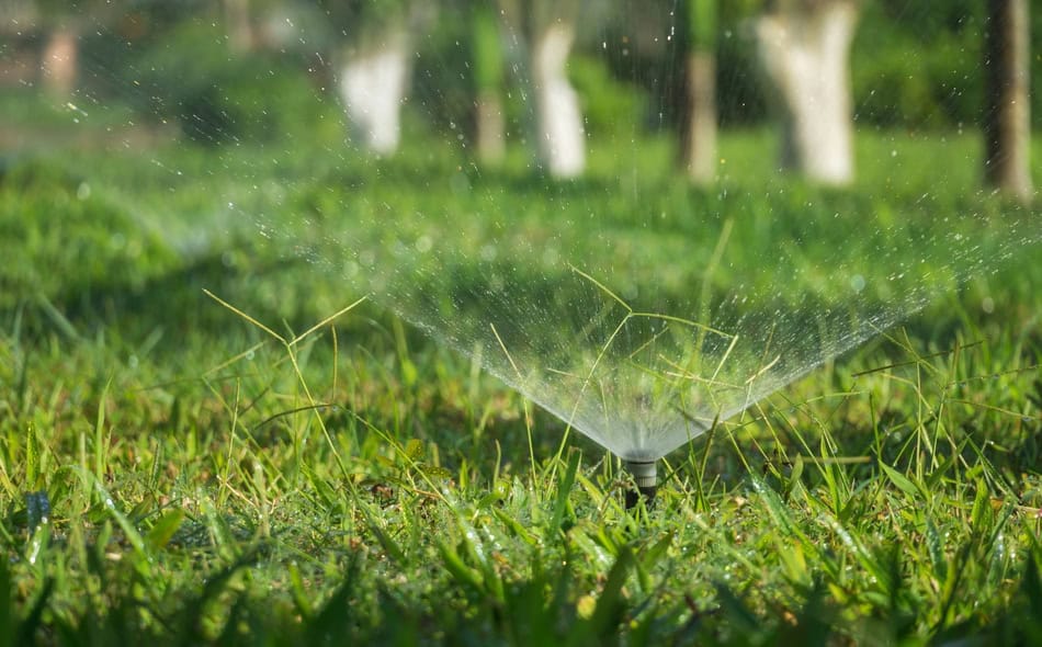 Sprinkler watering lush green grass in a garden.