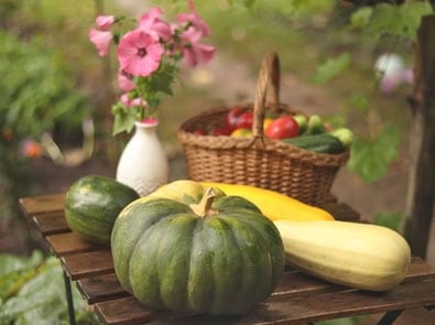 What to Plant This Fall: A Region-by-Region Guide to Cool-Weather Crops featured image