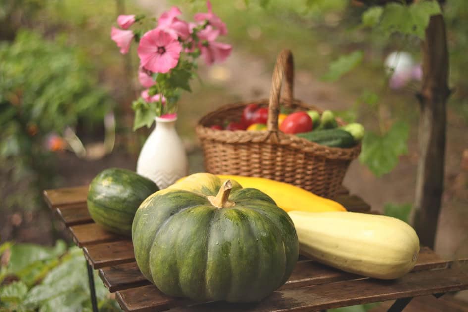 Fresh pumpkins and squash on a rustic wooden table in an outdoor garden setting.