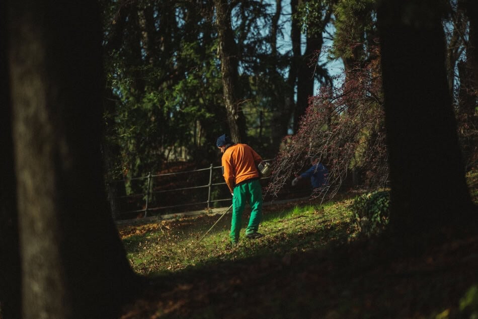 Person raking leaves in a wooded area during fall season.