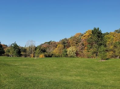 September Lawn Care: Your Lawn’s “Second Spring” Starts Now featured image