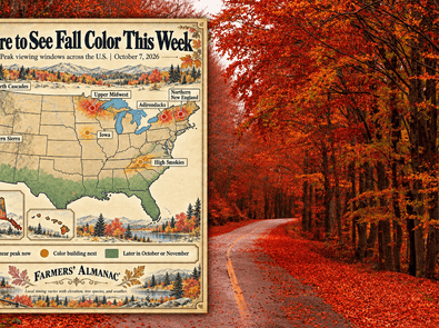 Where to See Fall Foliage This Week Across the U.S. featured image
