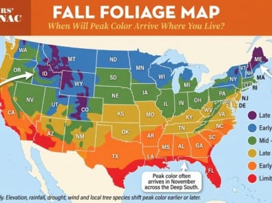 Farmers’ Almanac Fall Foliage Map: When Fall Colors Peak Near You featured image