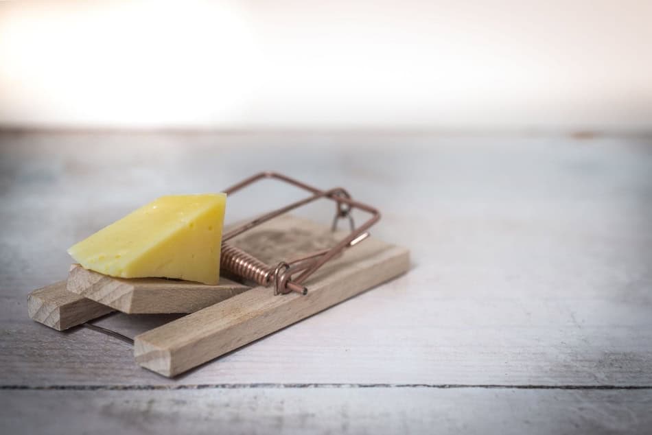 Mouse trap with cheese on wooden surface for pest control.