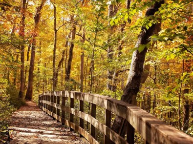 Enjoy a Free Fall Outing at a National Wildlife Refuge This Sunday featured image