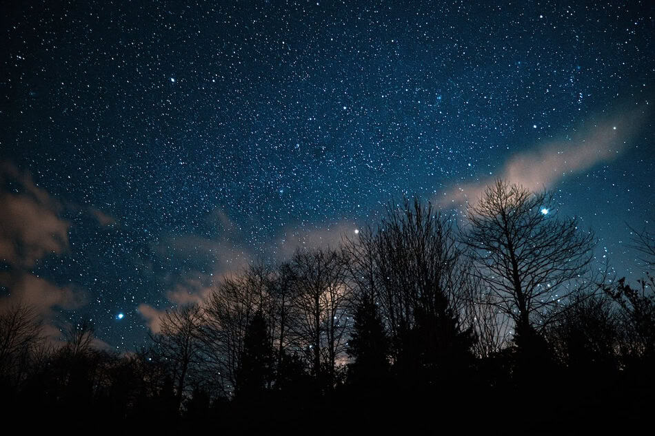 Starry night sky with trees and potential aurora activity.