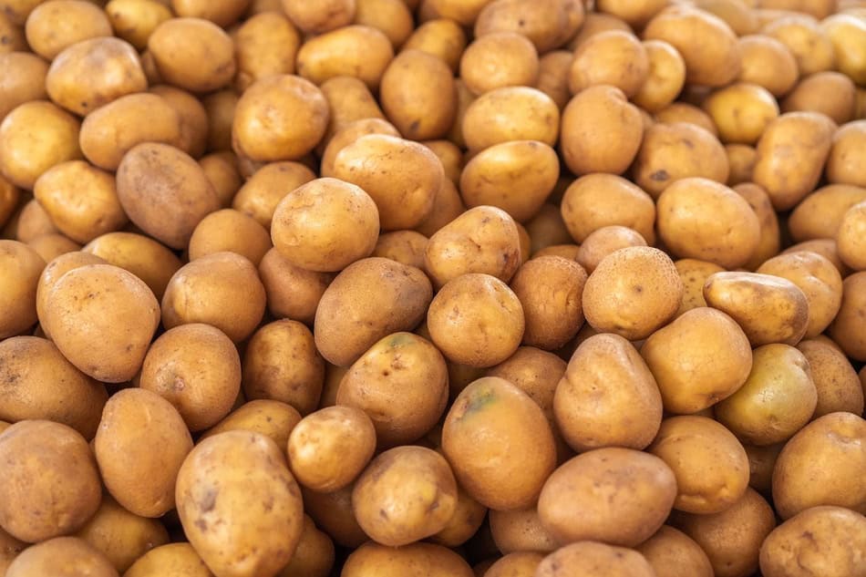 Heap of small, round potatoes with light brown skin.