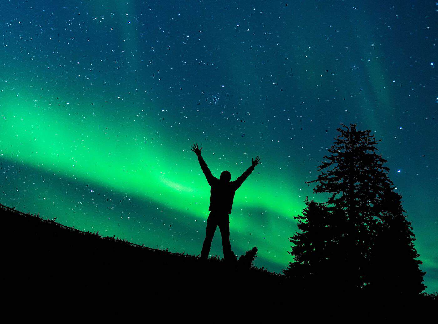 Person watching the northern lights under a starry sky.
