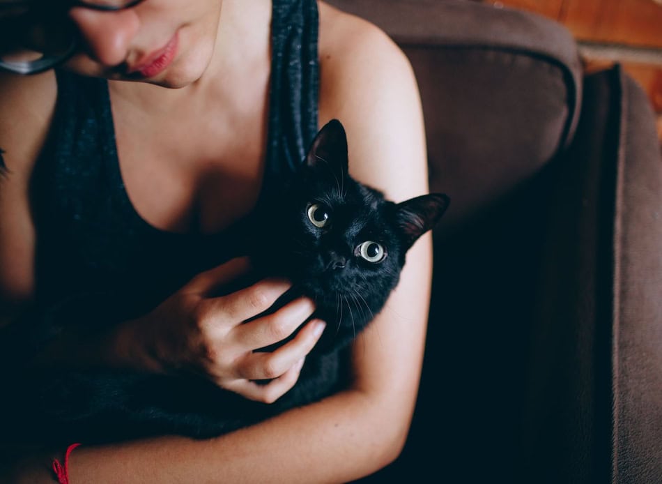 Woman holding a black cat on her lap, indoor setting, cozy atmosphere.