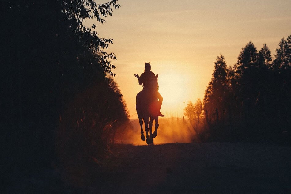 Silhouette of a horseback rider at sunset on a rural trail.