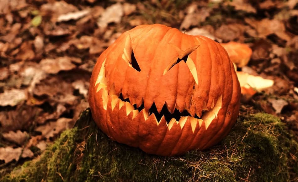 Carved pumpkin with a sinister face on a mossy surface.