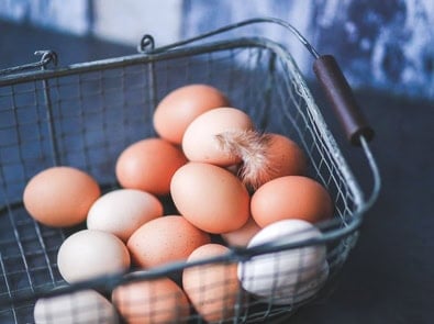 Why Do Chickens Stop Laying Eggs When the Days Get Shorter? featured image